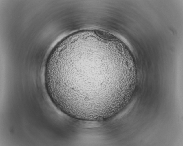X0000114501007200911091105