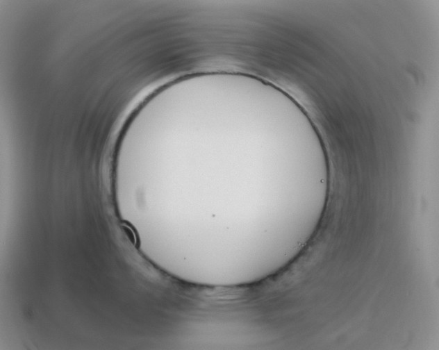 X0000114501008200911091105