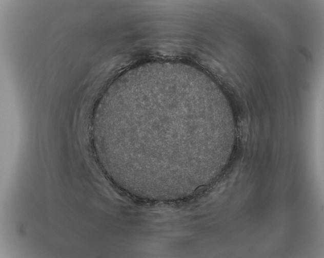 X0000114501009200911091105