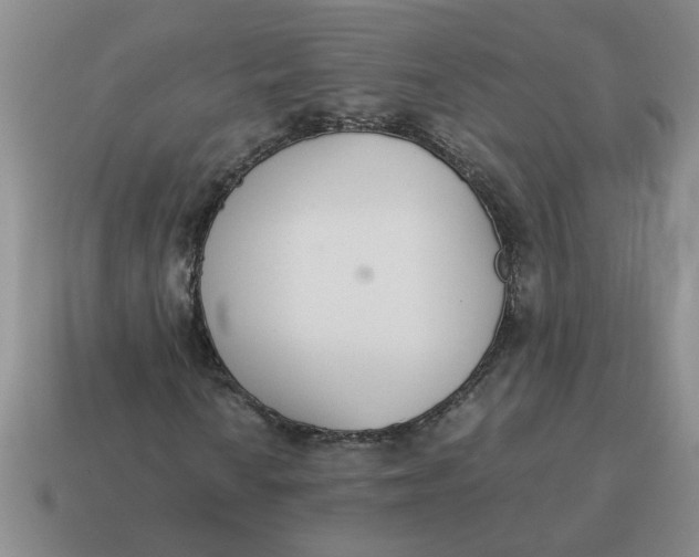 X0000114501010200911091105