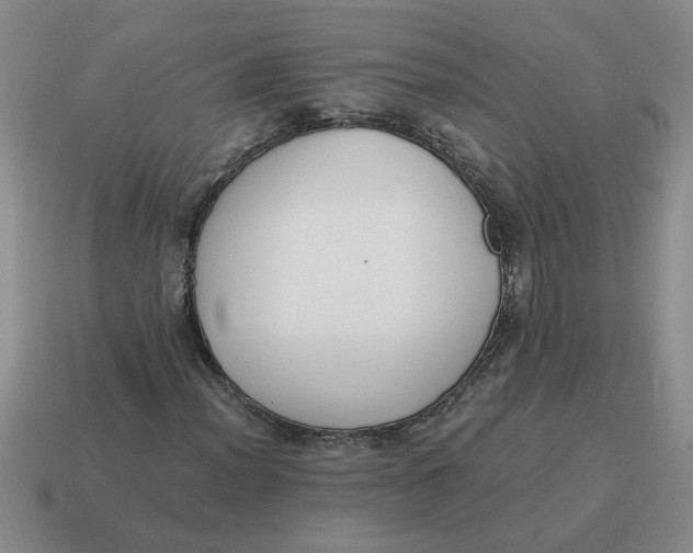 X0000114501012200911091105