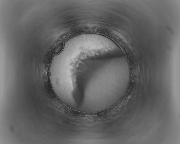X0000114501013200911091105