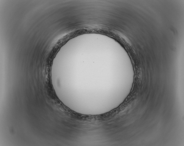 X0000114501016200911091105