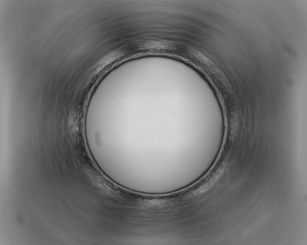 X0000114501017200911091105