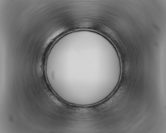 X0000114501018200911091105