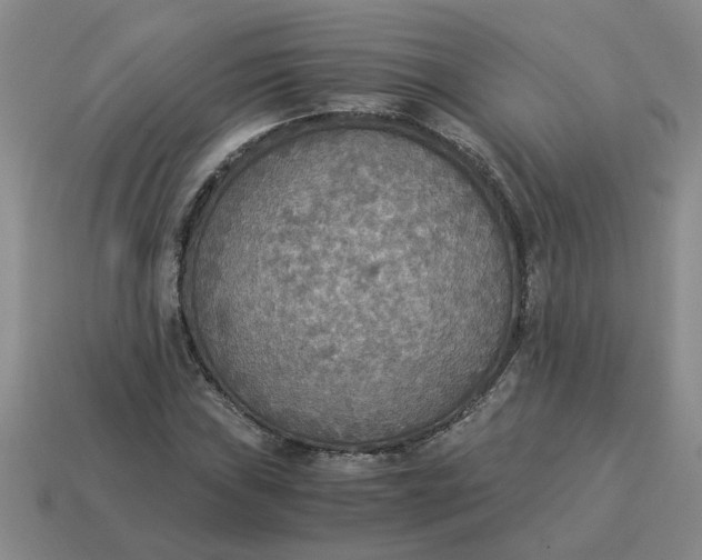 X0000114501019200911091105