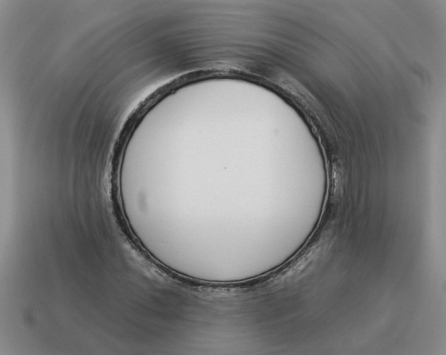 X0000114501020200911091105