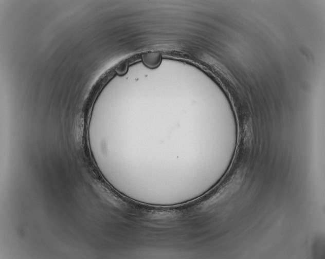 X0000114501021200911091105