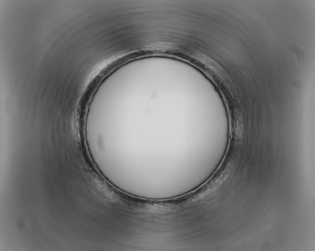 X0000114501022200911091105