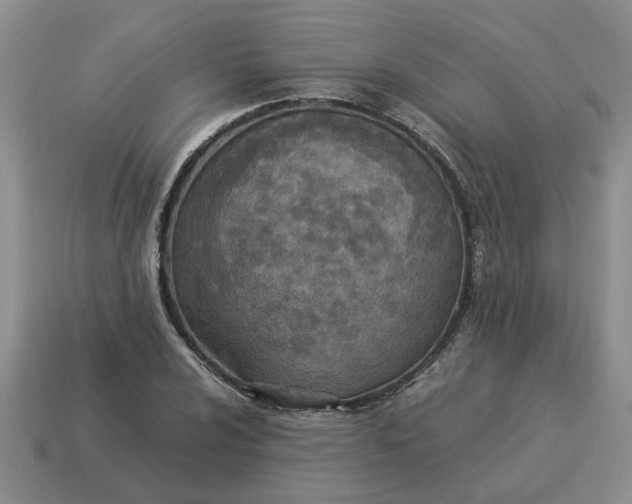 X0000114501024200911091105