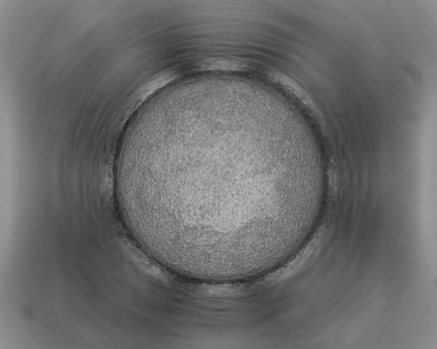 X0000114501025200911091105