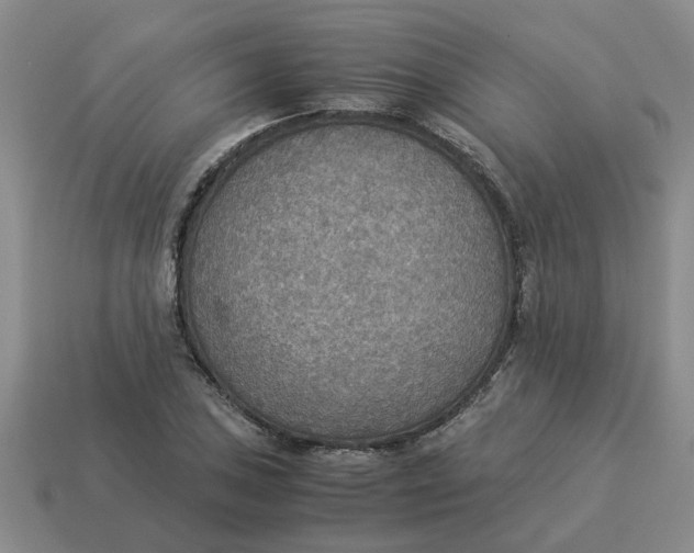 X0000114501027200911091105