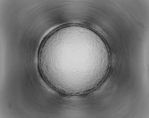 X0000114501028200911091105
