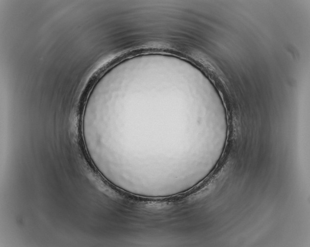 X0000114501029200911091105