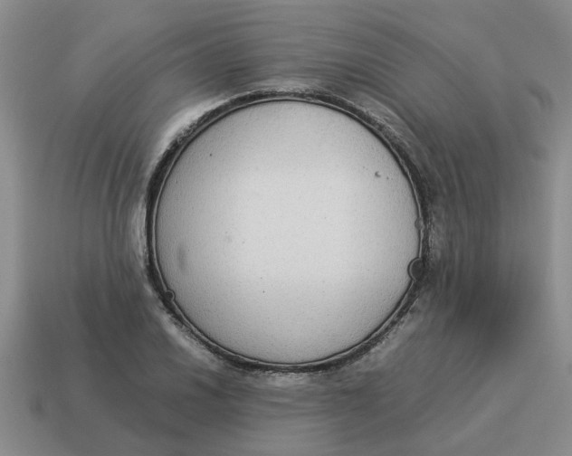 X0000114501030200911091105