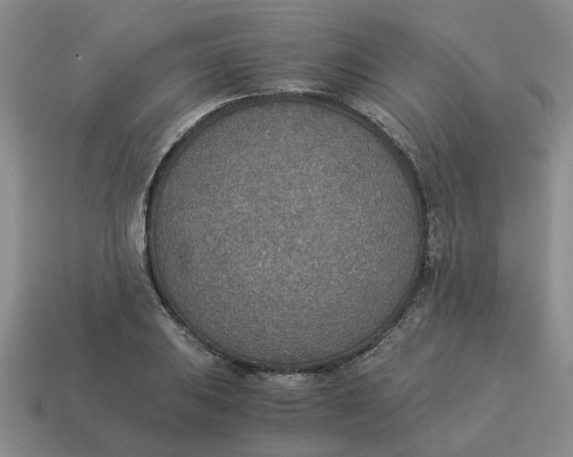 X0000114501031200911091105