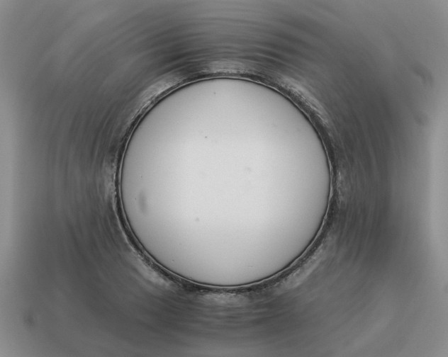 X0000114501033200911091105