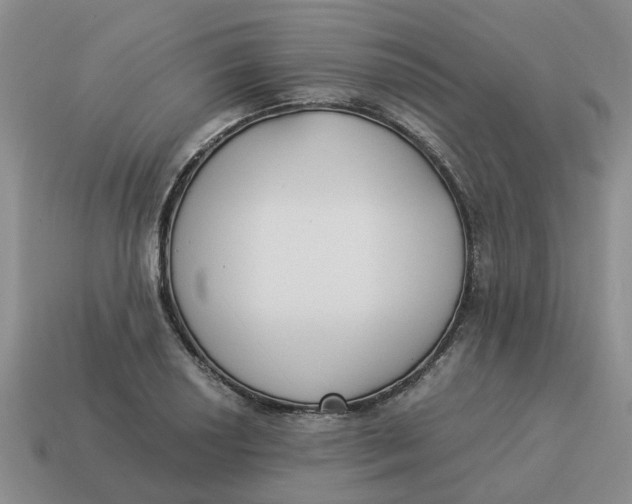 X0000114501034200911091105