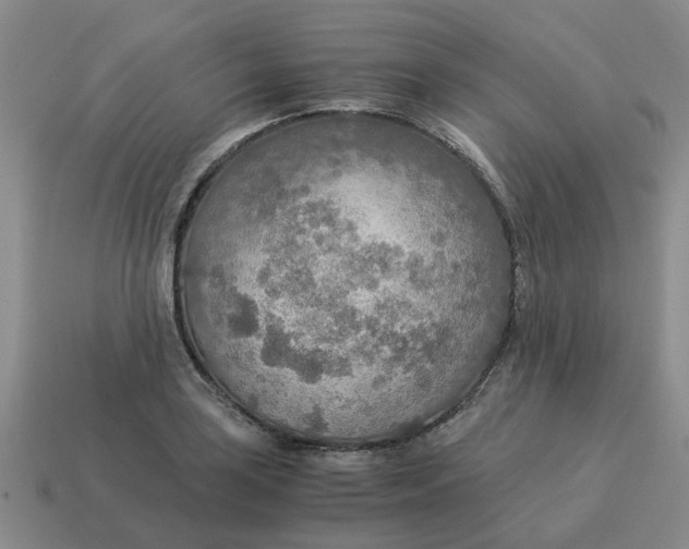 X0000114501035200911091105