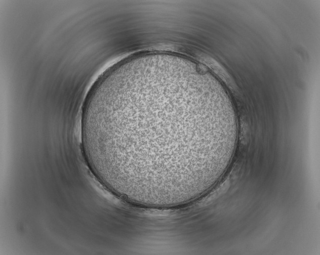 X0000114501036200911091105