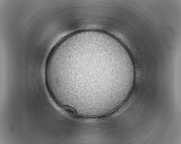 X0000114501038200911091105
