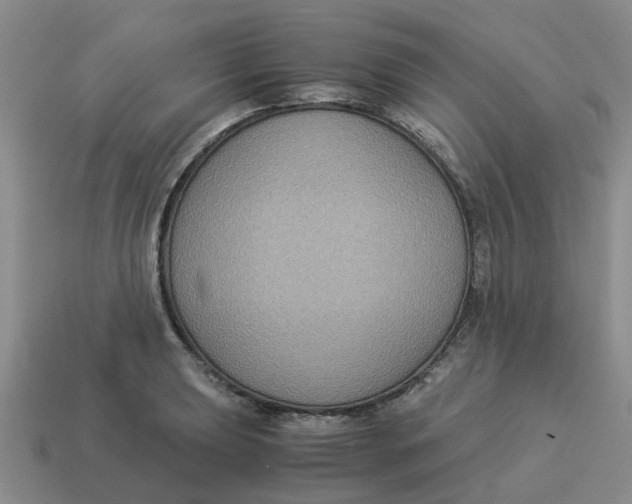 X0000114501039200911091105