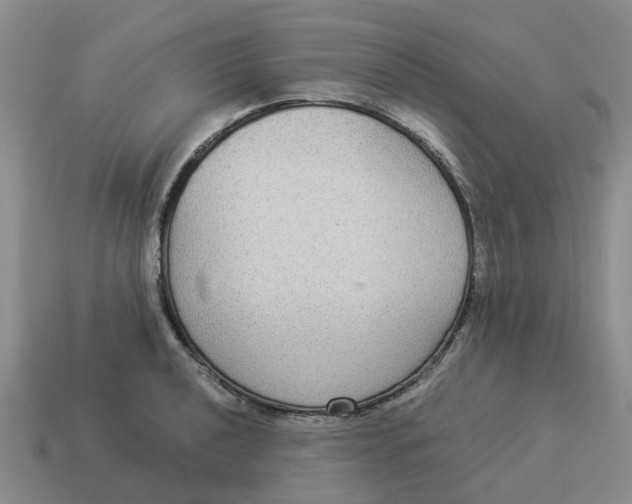 X0000114501040200911091105