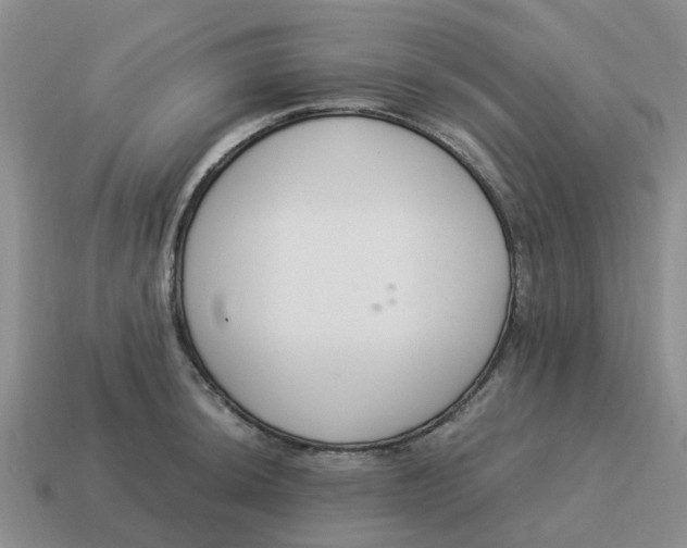 X0000114501044200911091105