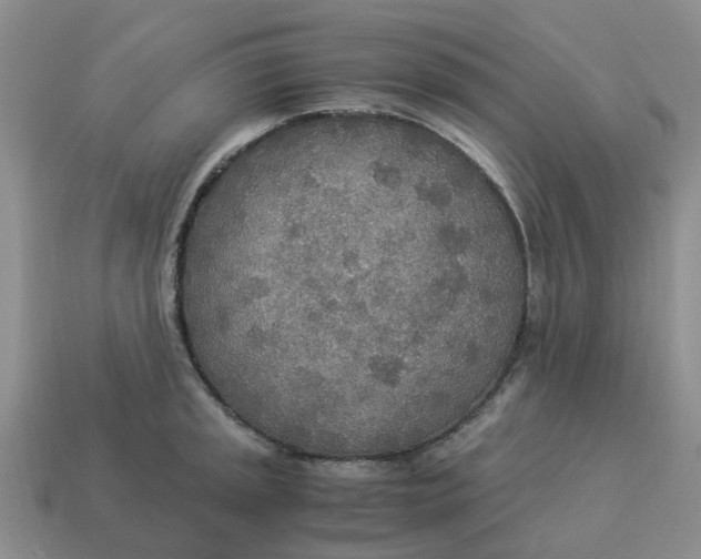 X0000114501045200911091105
