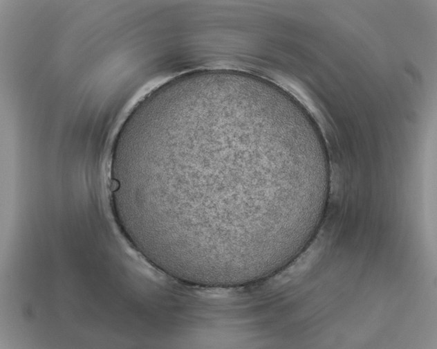 X0000114501048200911091105