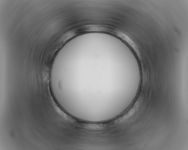 X0000114501049200911091105