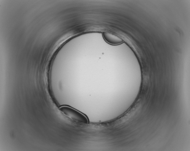X0000114501050200911091105