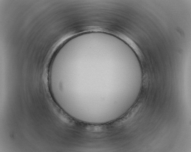 X0000114501051200911091105