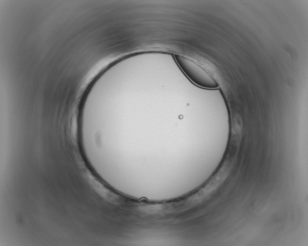 X0000114501054200911091105