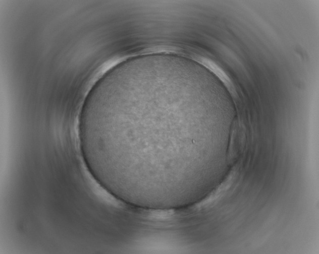 X0000114501055200911091105
