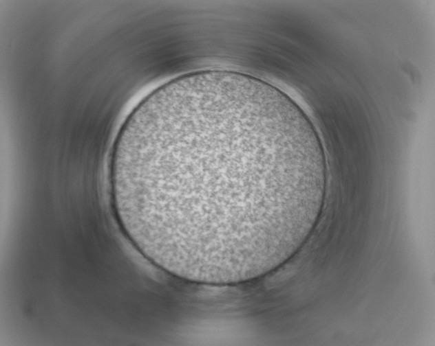 X0000114501056200911091105