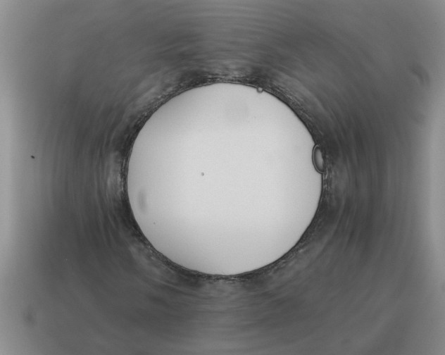 X0000114501058200911091105