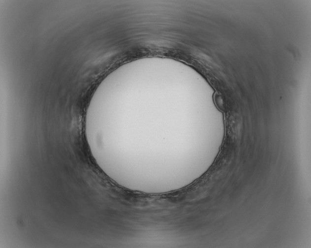 X0000114501061200911091105