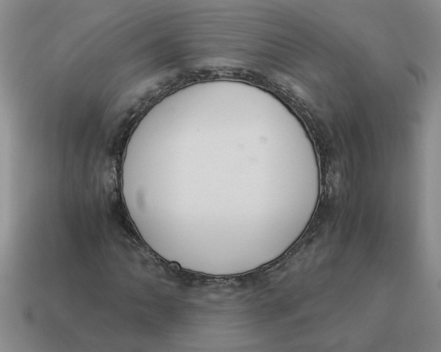 X0000114501062200911091105