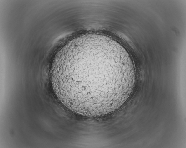 X0000114501063200911091105
