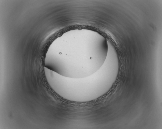 X0000114501064200911091105