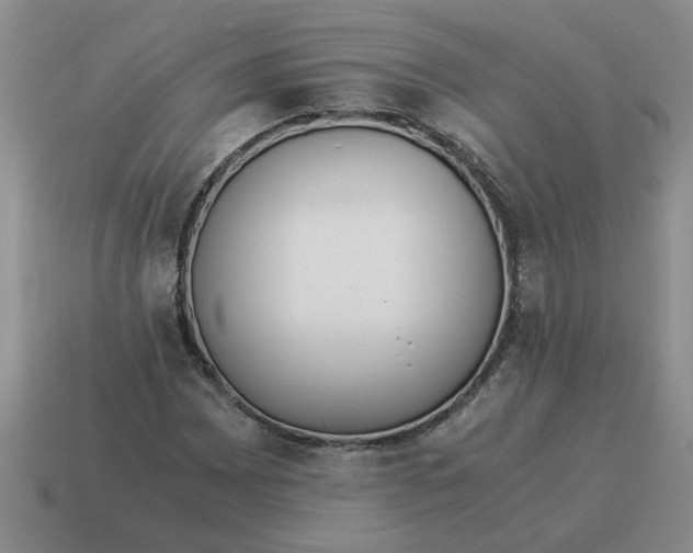 X0000114501065200911091105