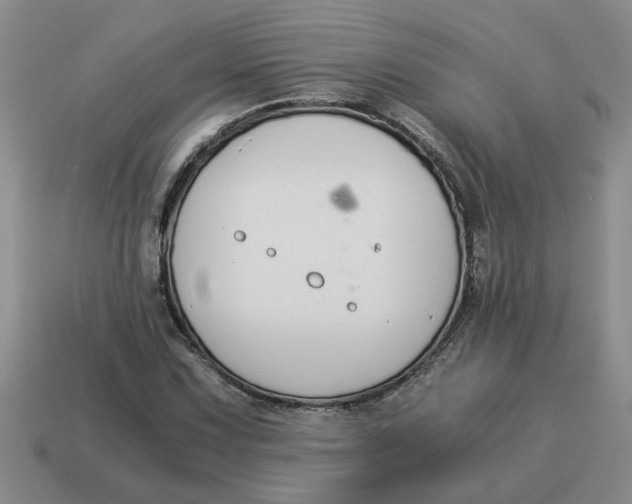 X0000114501067200911091105
