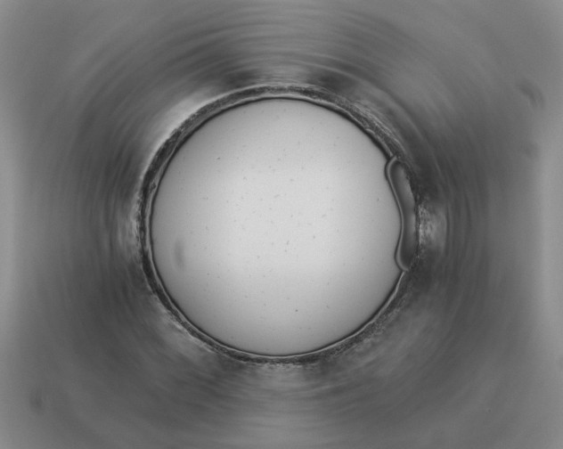 X0000114501068200911091105