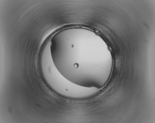 X0000114501069200911091105