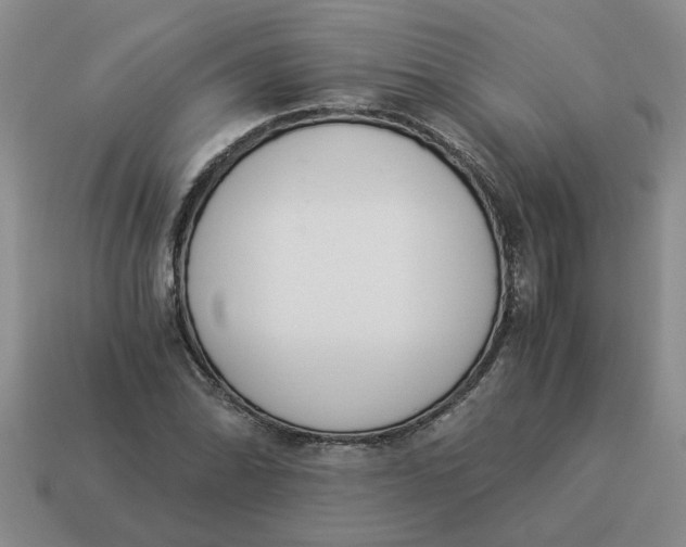 X0000114501070200911091105