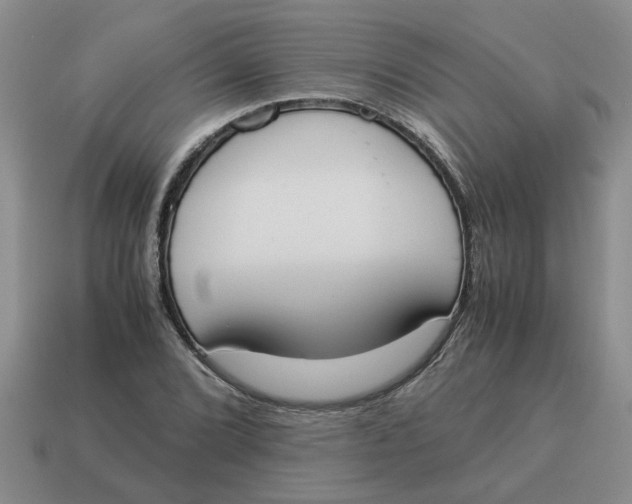 X0000114501072200911091105