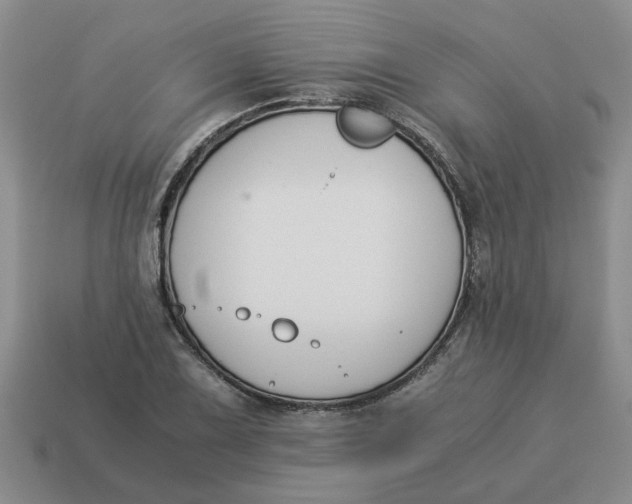X0000114501075200911091105