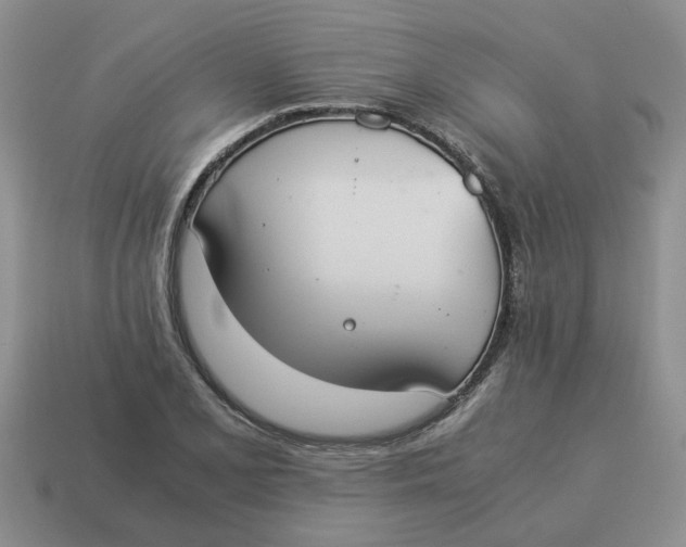 X0000114501077200911091105