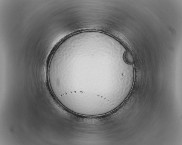 X0000114501079200911091105